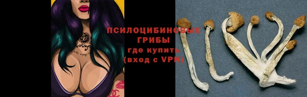 гидра Пересвет