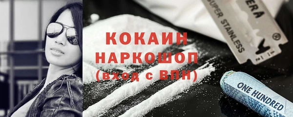 гидра Пересвет
