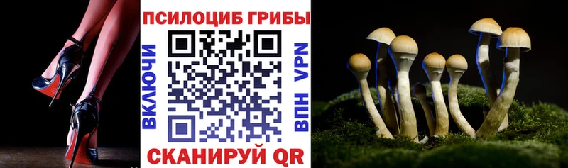 Галлюциногенные грибы прущие грибы  Плавск 